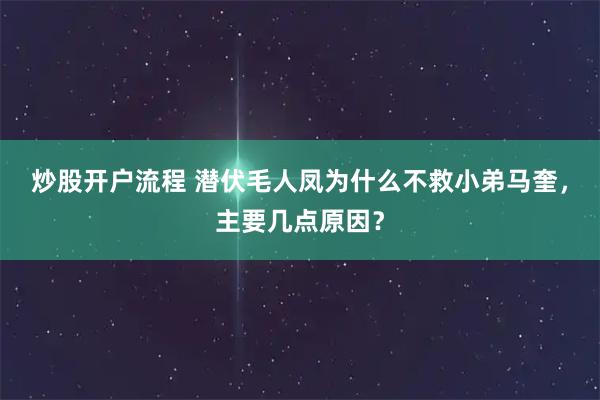 炒股开户流程 潜伏毛人凤为什么不救小弟马奎，主要几点原因？