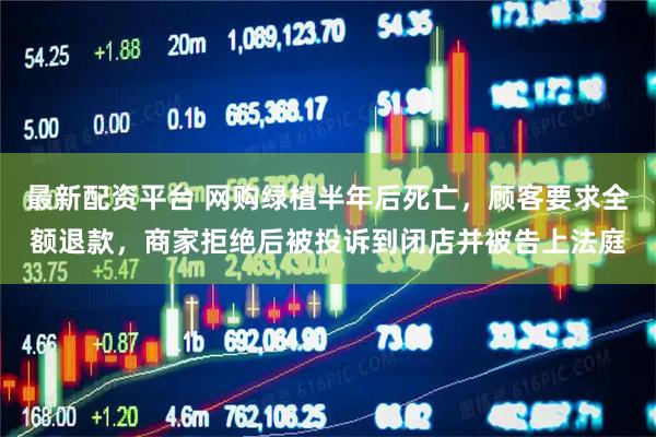 最新配资平台 网购绿植半年后死亡，顾客要求全额退款，商家拒绝后被投诉到闭店并被告上法庭